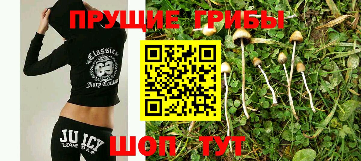 Галлюциногенные грибы MAGIC MUSHROOMS Шарыпово